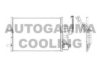 AUTOGAMMA 103621 Condenser, air conditioning